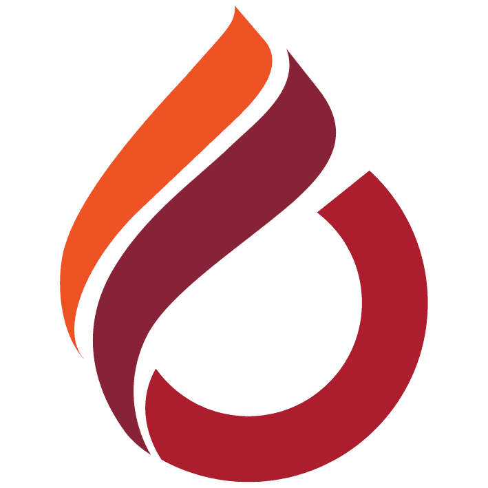 BAU Cyprus logo